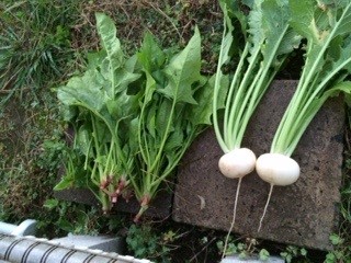 鈴木健一_201512_02