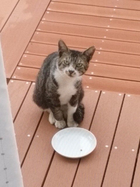 201609_%e6%9d%be%e4%b8%8b